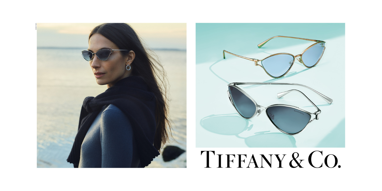 Tiffany and buy Co. sunglasses