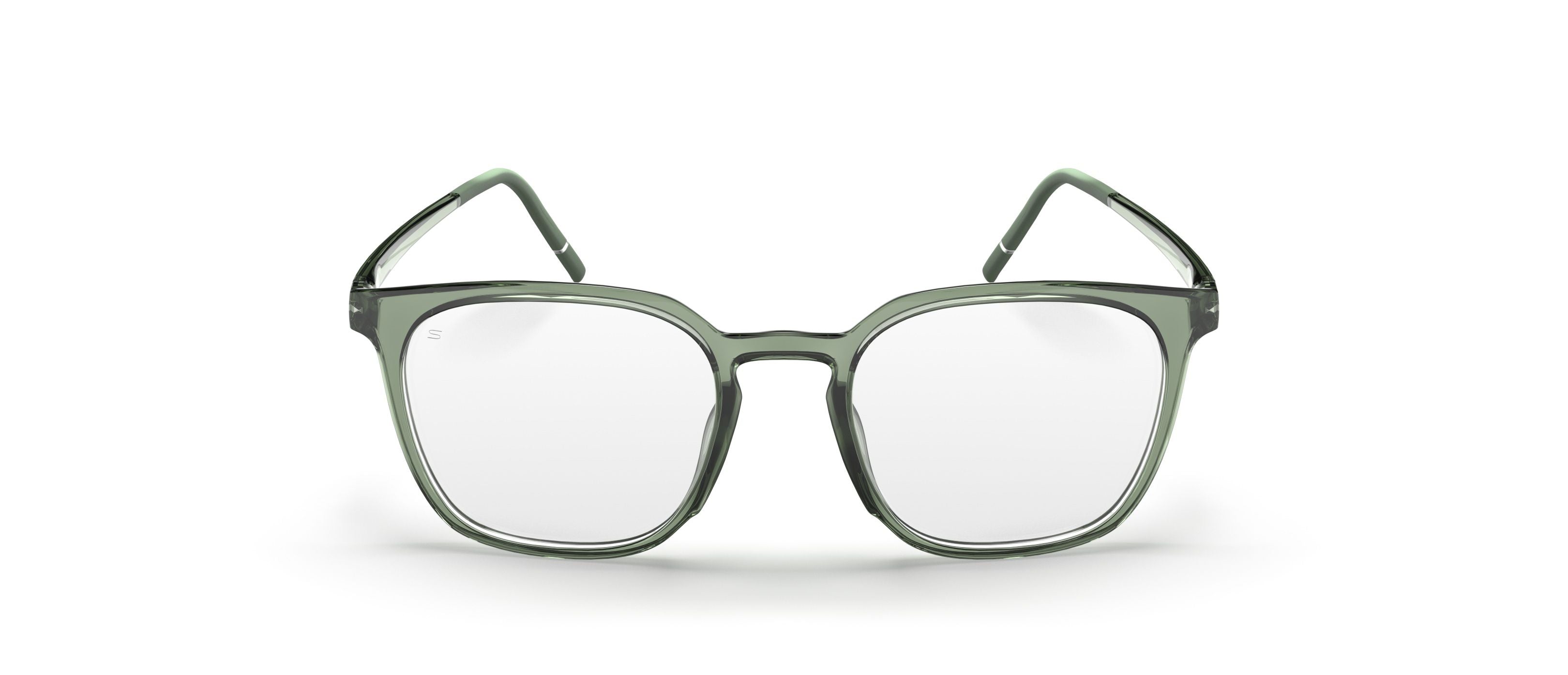 SILHOUETTE 2980 75 5010 51 FRAME