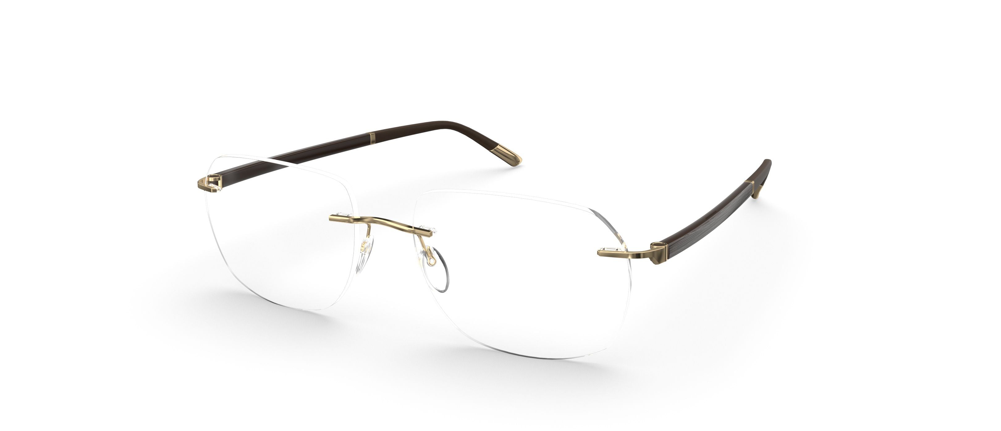 SILHOUETTE 5565 LT 7520 55 FRAME