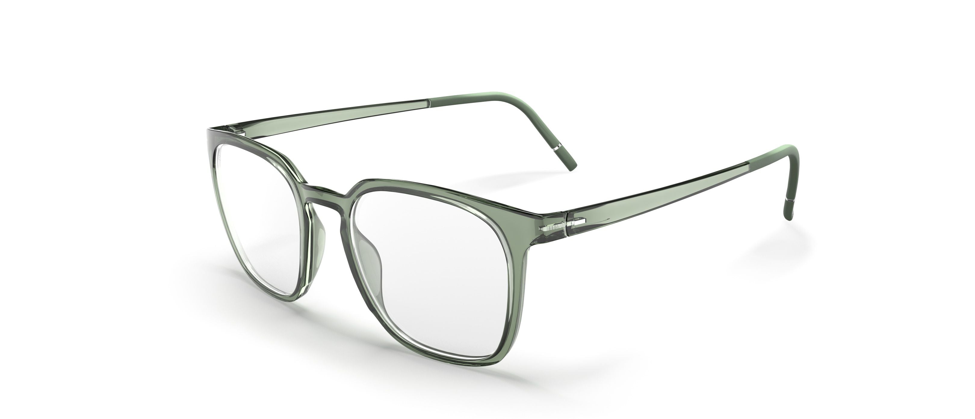 SILHOUETTE 2980 75 5010 51 FRAME