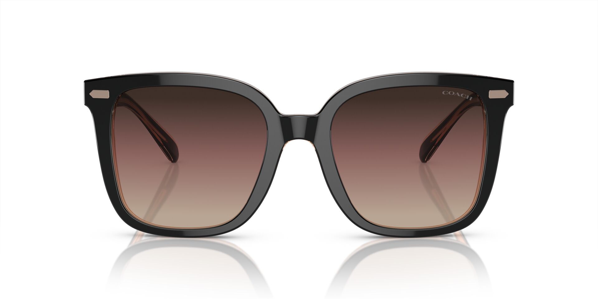 COACH HC8381U CL918 5781E2 54 SUNGLASSES