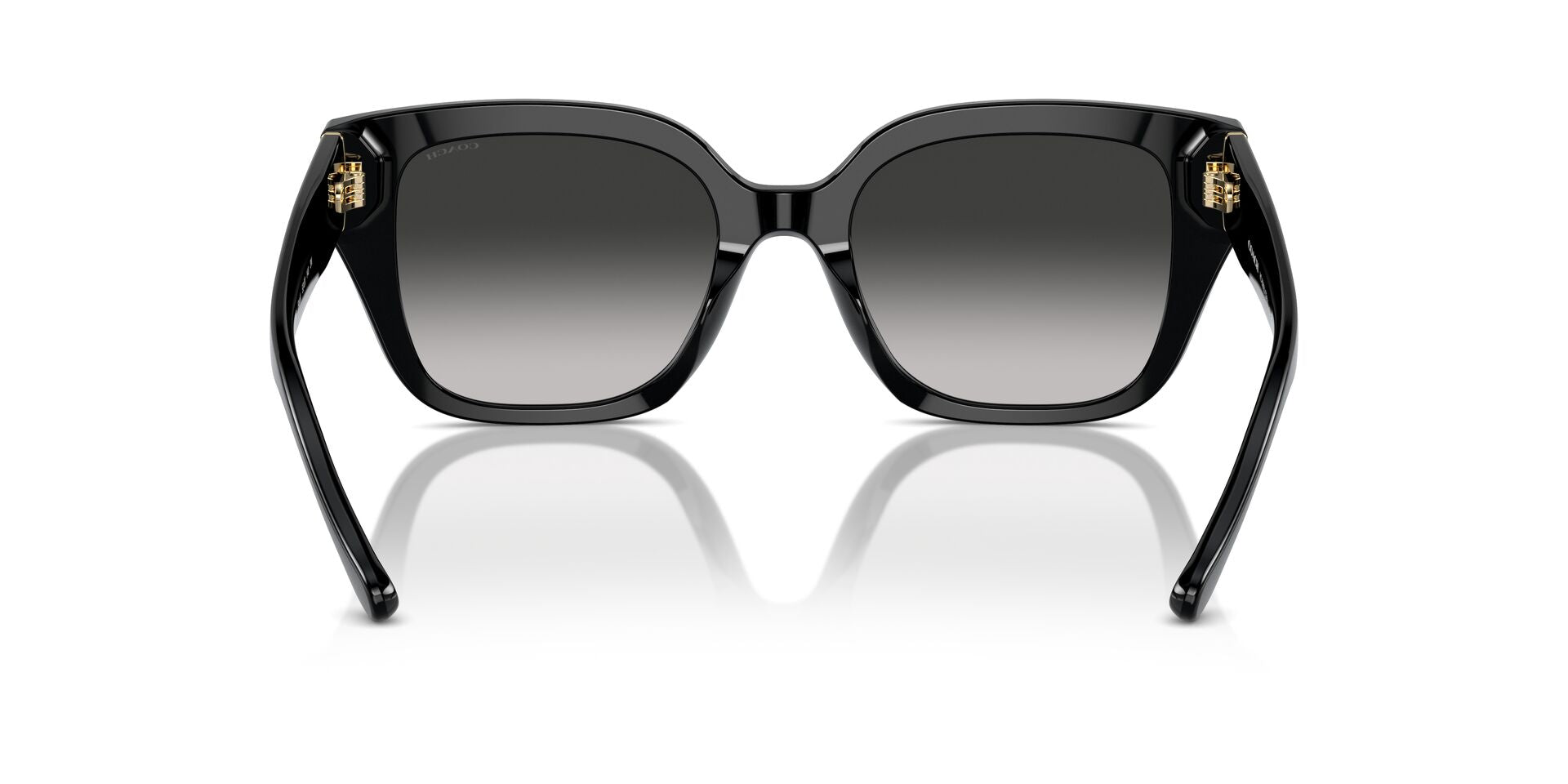 COACH HC8392U 50023C 53 SUNGLASSES