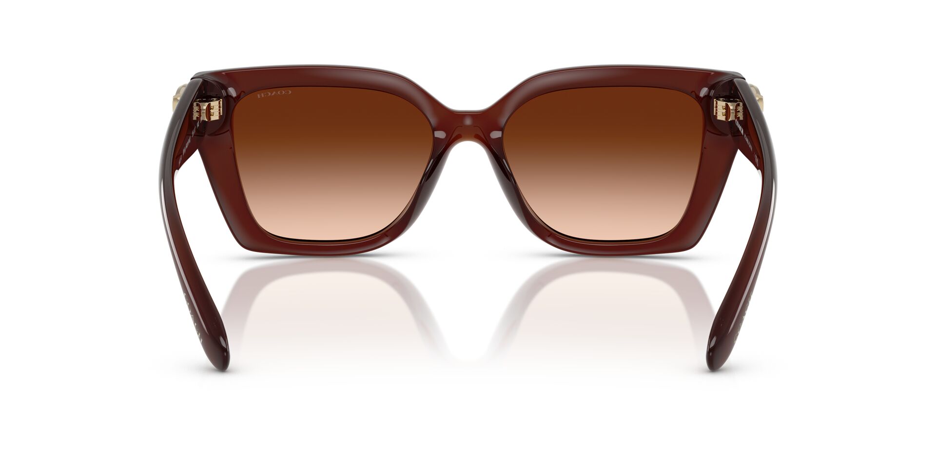 COACH HC8408U CW195 584174 55 SUNGLASSES