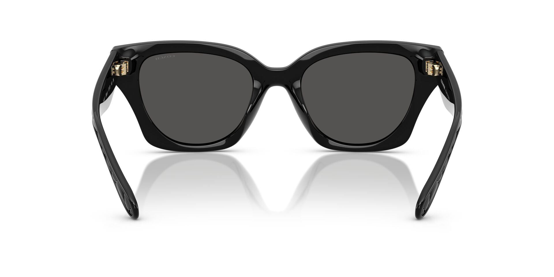 COACH HC8418U CAD18 500287 53 SUNGLASSES