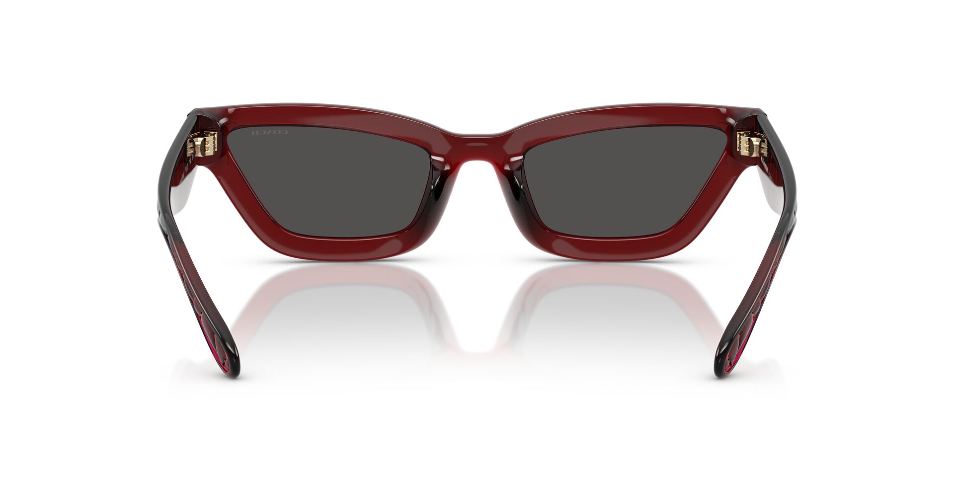 COACH HC8420U CAD28 587487 55 SUNGLASSES