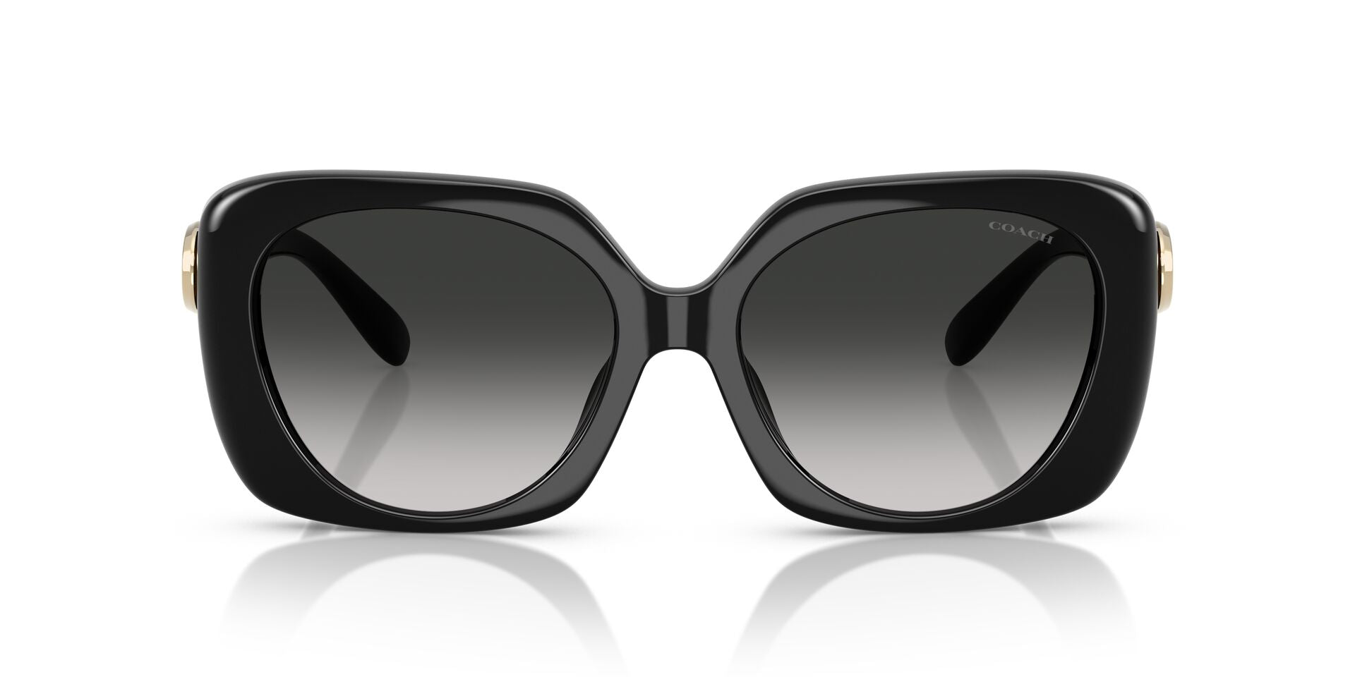 COACH HC8422U CAD33 50023C 55 SUNGLASSES