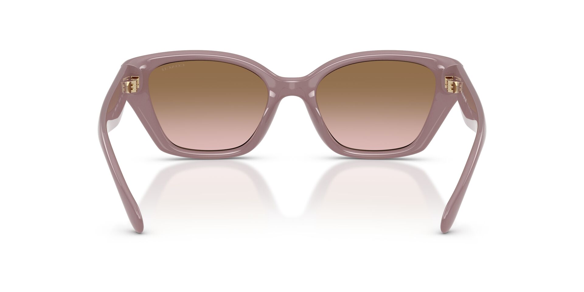 COACH HC8434U CBY91 549511 53 SUNGLASSES