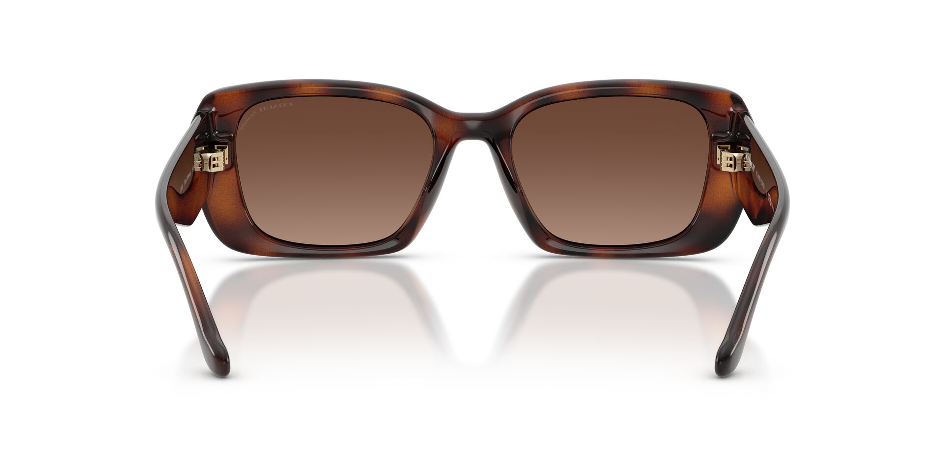 COACH HC8435U CBY83 5120T5 54 SUNGLASSES