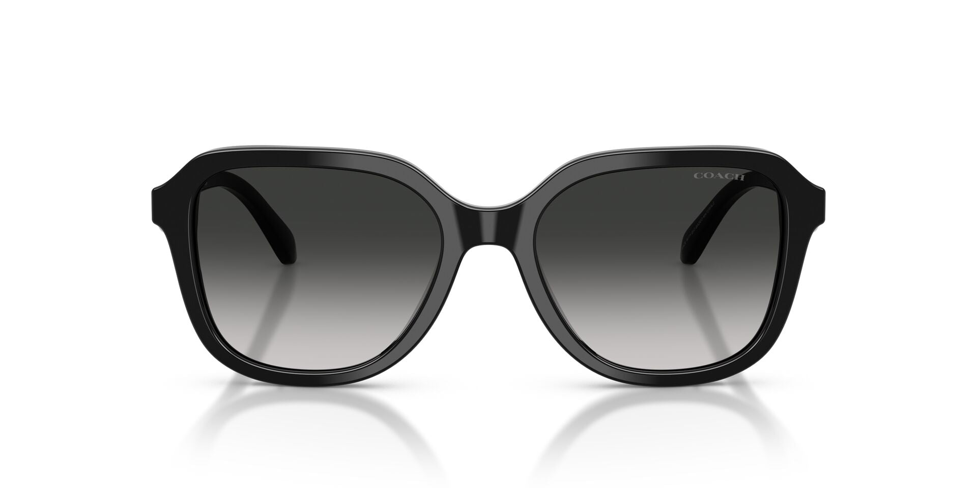 COACH HC8437U CBY87 50023C 53 SUNGLASSES