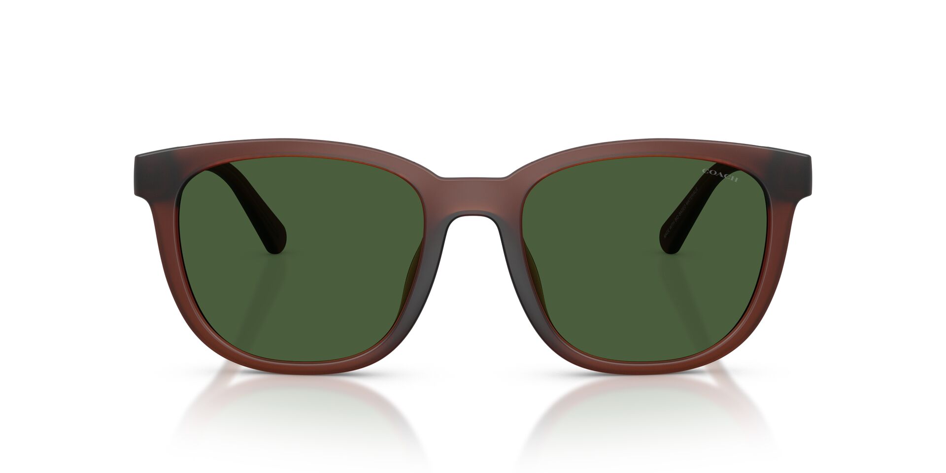 COACH HC8442U CCA00 591171 54 SUNGLASSES