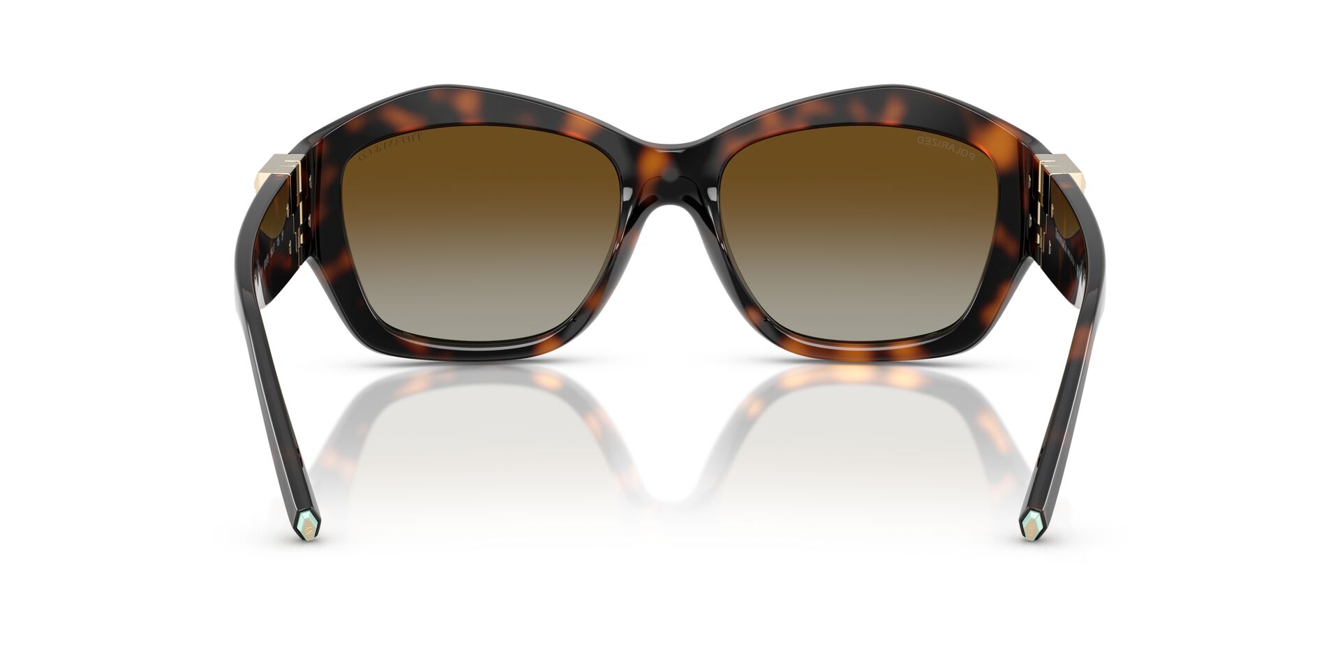 TIFFANY & CO TF4233U 8015T5 54 SUNGLASSES