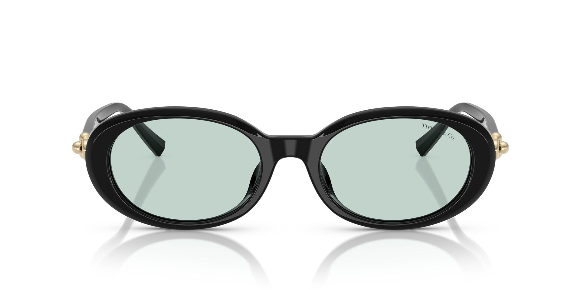 TIFFANY & CO TF4242D 8001D9 54 SUNGLASSES