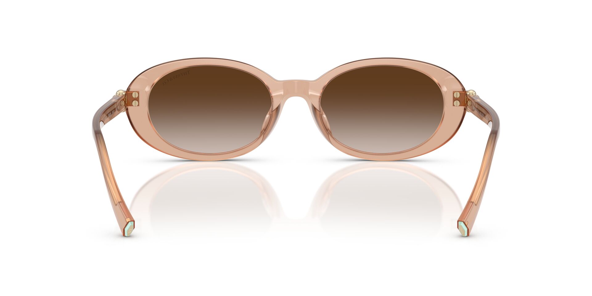 TIFFANY & CO TF4242D 8268 3B 54 SUNGLASSES