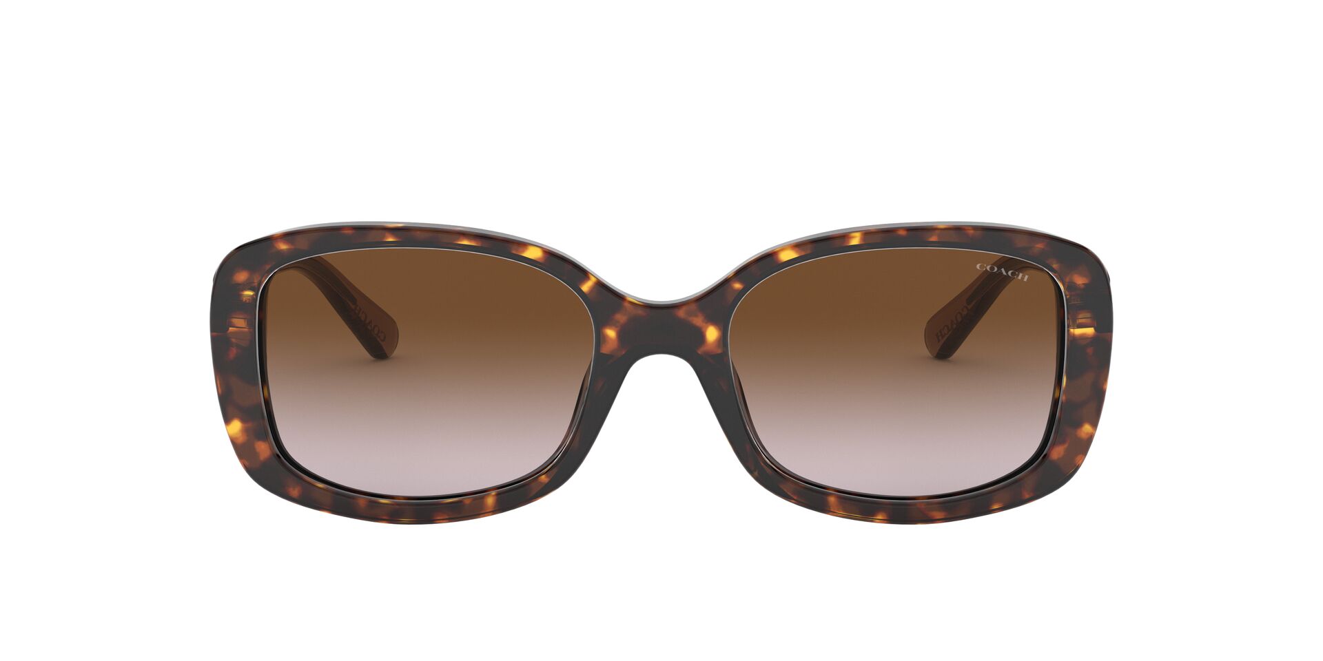 COACH HC8278 L1114 512013 53 SUNGLASSES