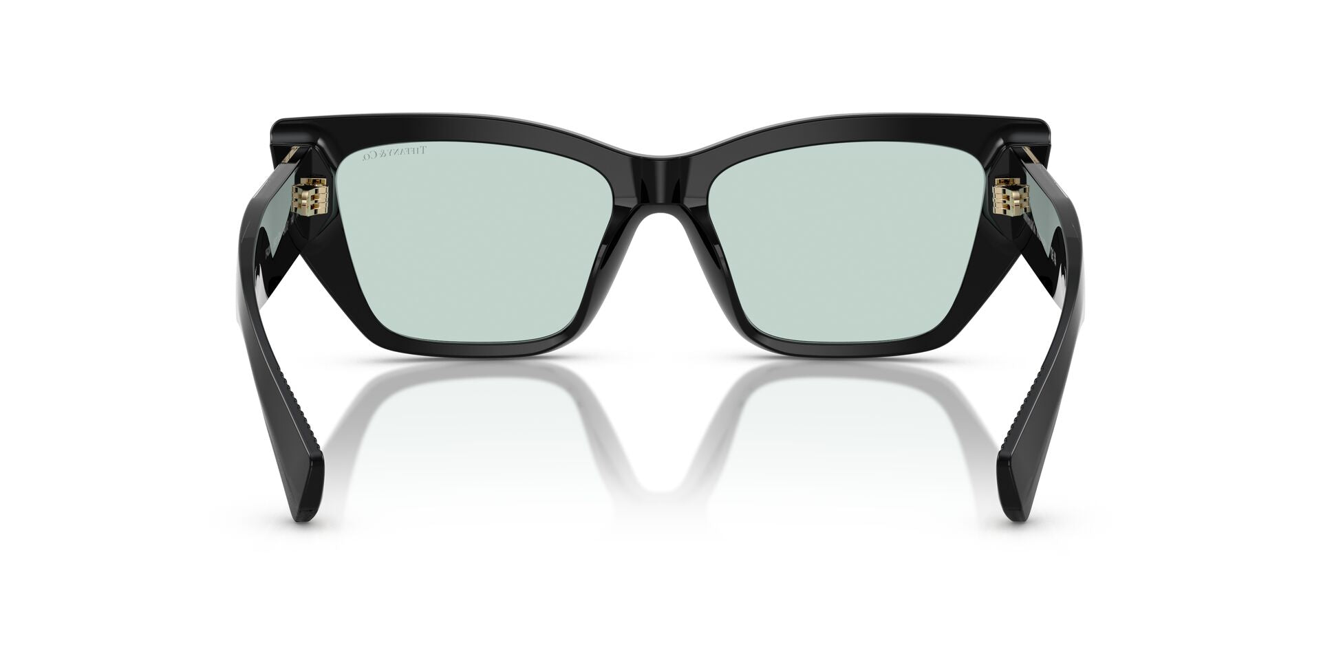 TIFFANY & CO TF4230 8001D9 54 SUNGLASSES