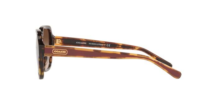 COACH HC8335U C7989 512013 53 SUNGLASSES