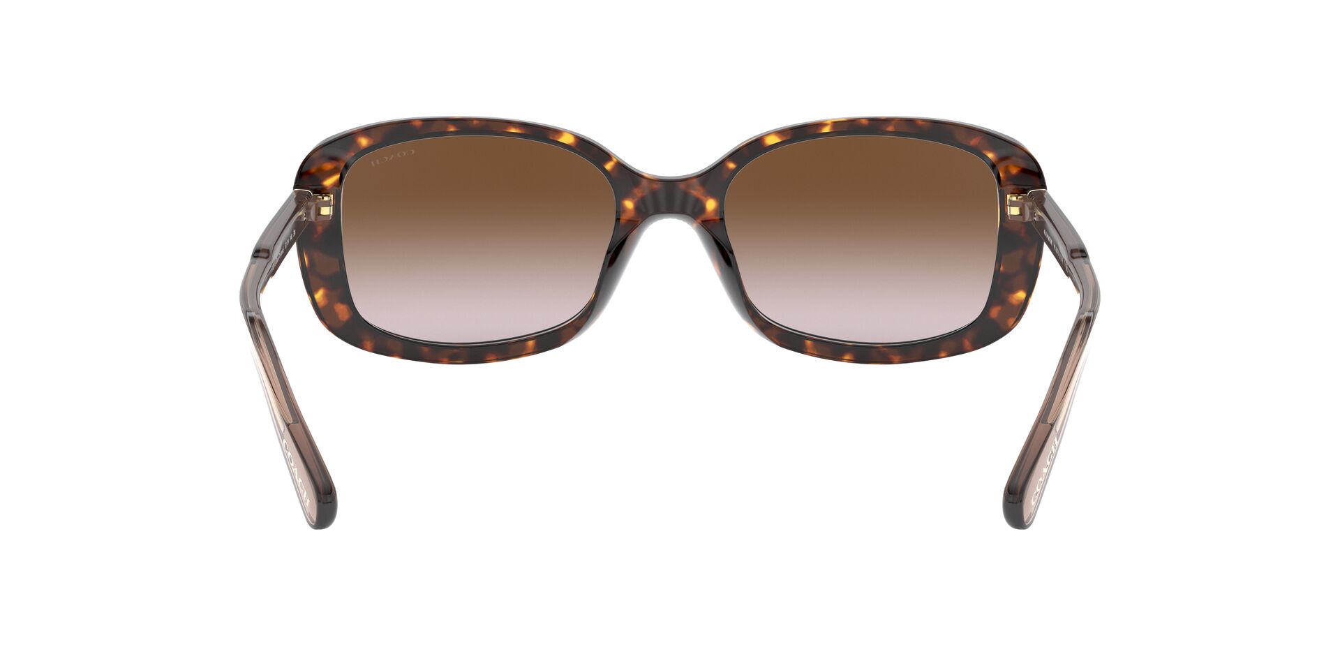 COACH HC8278 L1114 512013 53 SUNGLASSES