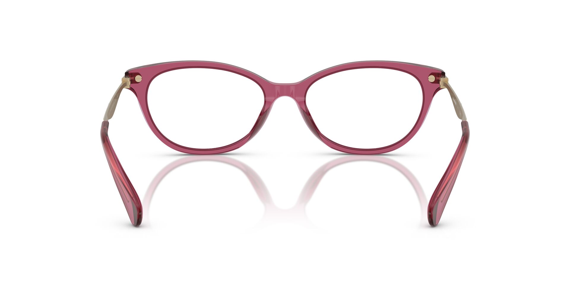 COACH HC6245U 5824 53 FRAME