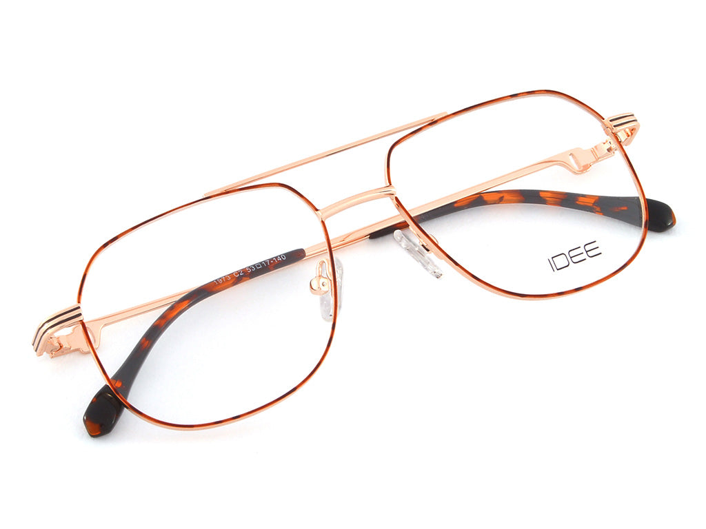 iDEE 1973 C2 53 FRAME