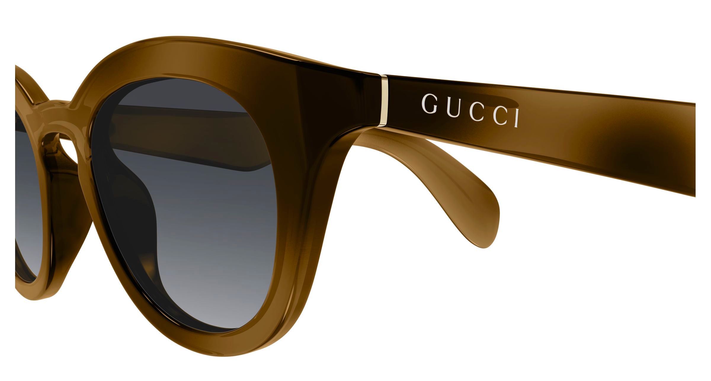 GUCCI GG1934S 003 47 SUNGLASSES