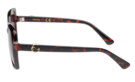 SCOTT SC3161 SUSEN C2 55 SUNGLASSES