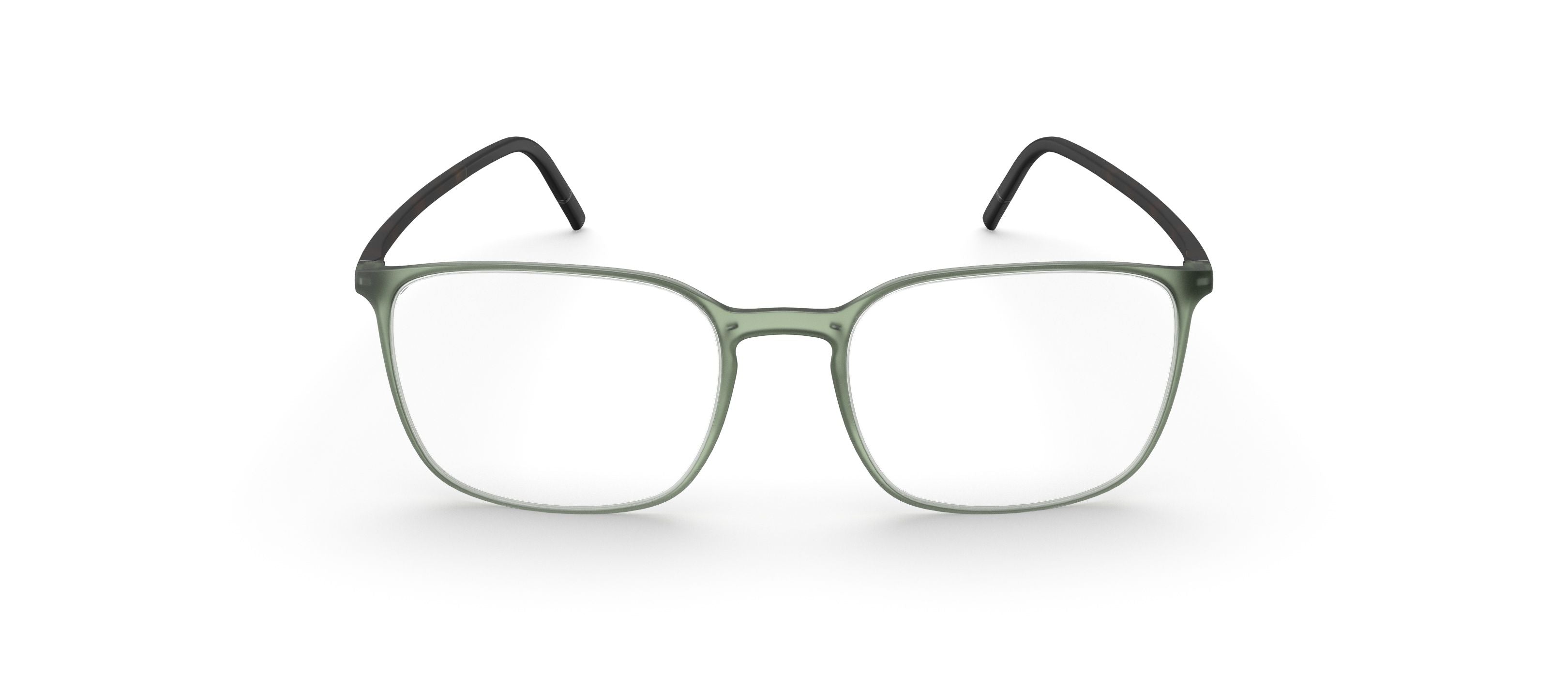 SILHOUETTE SPX2954 75 5060 52 FRAME