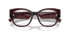 DOLCE & GABBANA DG3377 3045 53 FRAME