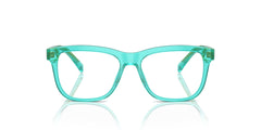 DOLCE & GABBANA DX3356 3322 49 FRAME