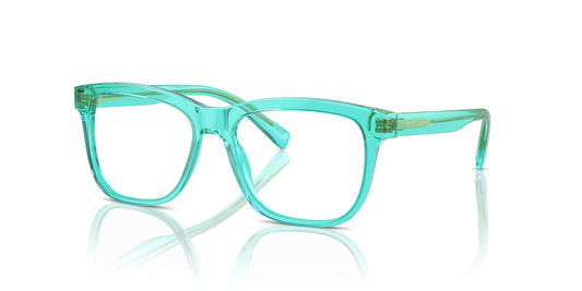 DOLCE & GABBANA DX3356 3322 49 FRAME