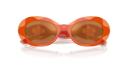 DOLCE & GABBANA DX6005 33887T 49 SUNGLASSES