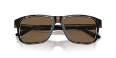 EMPORIO ARMANI EA4208 605273 56 SUNGLASSES