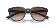 EMPORIO ARMANI 0EA4225U 508813 53 SUNGLASSES