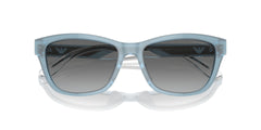 EMPORIO ARMANI 0EA4227U 609611 56 SUNGLASSES