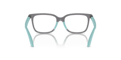 EMPORIO ARMANI EK3006 6134 47 FRAME