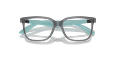 EMPORIO ARMANI EK3006 6134 47 FRAME