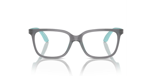 EMPORIO ARMANI EK3006 6134 47 FRAME