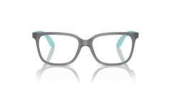 EMPORIO ARMANI EK3006 6134 47 FRAME