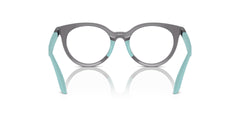 EMPORIO ARMANI EK3007 6134 45 FRAME