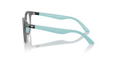 EMPORIO ARMANI EK3007 6134 45 FRAME