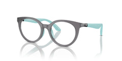 EMPORIO ARMANI EK3007 6134 45 FRAME