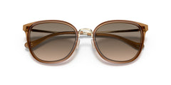 COACH 0HC7135 565413 54 SUNGLASSES