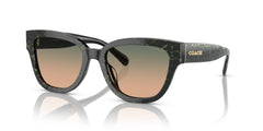 COACH HC8379U 578413 54 SUNGLASSES