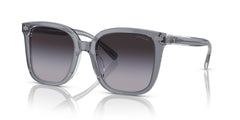 COACH HC8381U 57808G 54 SUNGLASSES