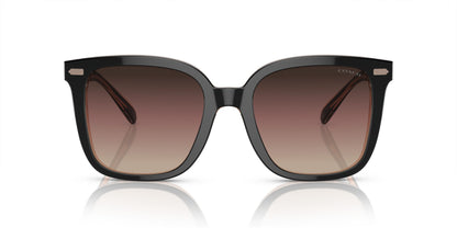 COACH HC8381U CL918 5781E2 54 SUNGLASSES