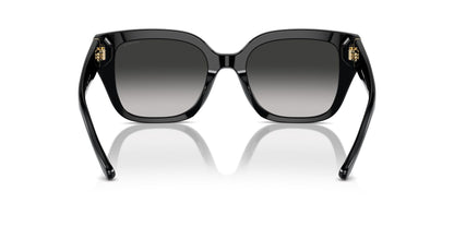 COACH HC8392U 50023C 53 SUNGLASSES