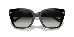 COACH HC8392U 50023C 53 SUNGLASSES