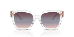 COACH HC8392U 51110J 53 SUNGLASSES