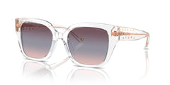 COACH HC8392U 51110J 53 SUNGLASSES