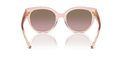 COACH HC8393U 566814 53 SUNGLASSES