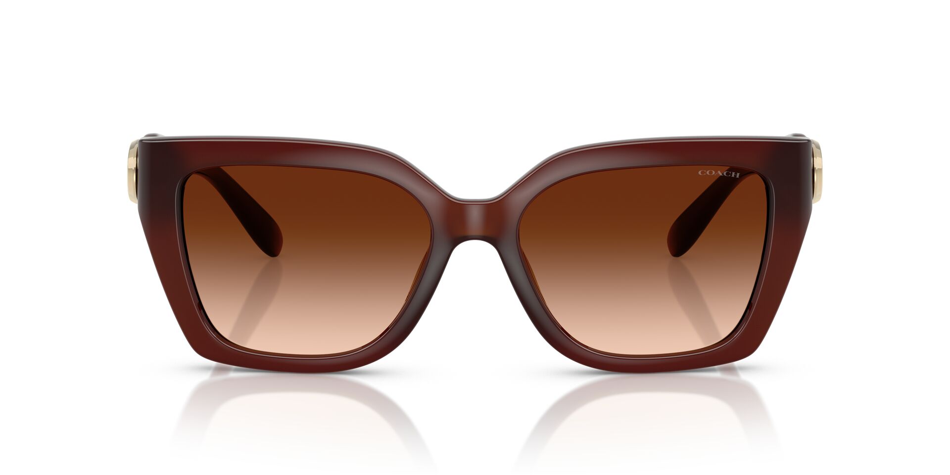 COACH HC8408U CW195 584174 55 SUNGLASSES